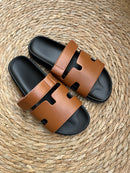 Andros camel