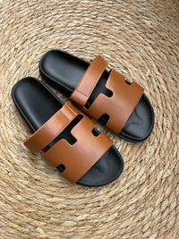Andros camel